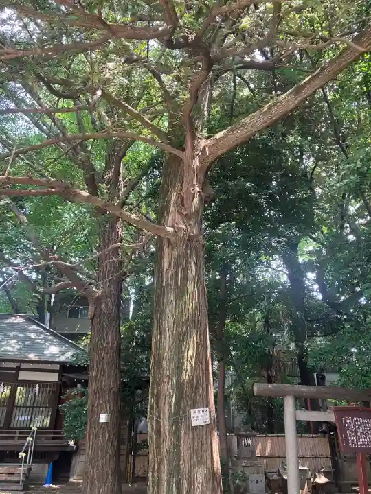 ときわ台天祖神社(東京都)