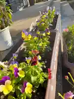 伏木香取神社の自然