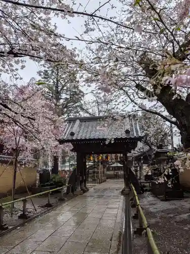 新井薬師（梅照院）(東京都)