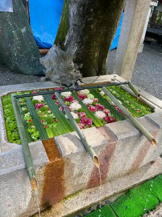 穂高神社本宮の手水舎