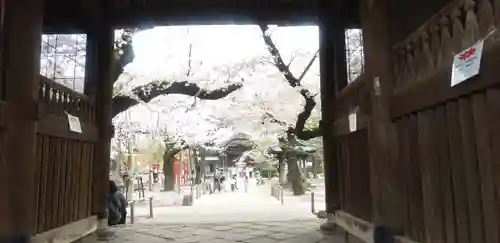 祐天寺の山門