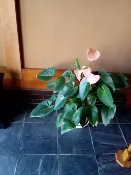 瑞雲寺(神奈川県)