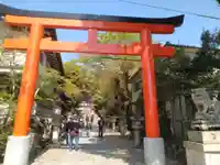 宇治神社の鳥居