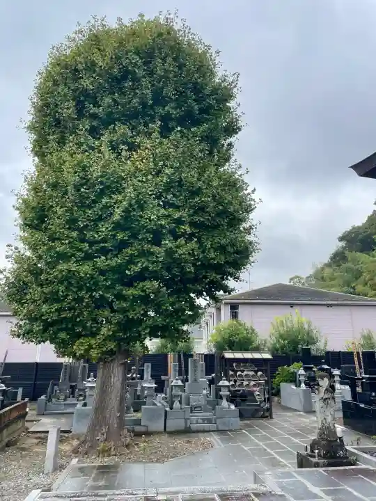 正徳寺(千葉県)