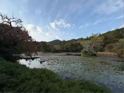 龍安寺(京都府)