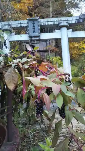 温泉神社の自然