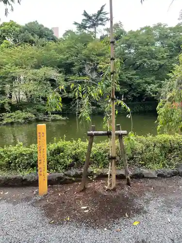 三嶋大社の庭園