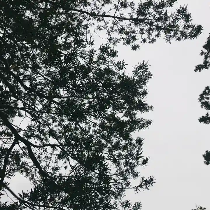 鹿嶋吉田神社の自然