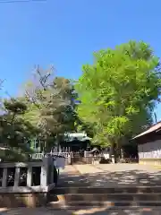 鶴嶺八幡宮(神奈川県)