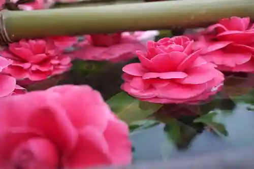 慈恩寺の手水舎