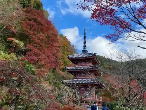 三室戸寺の塔