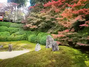 光明院(光明禅院)(京都府)(2025年11月22日(土) 13時59分26秒投稿)