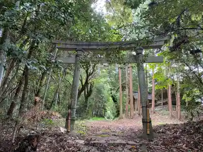 新宮神社(高知県)