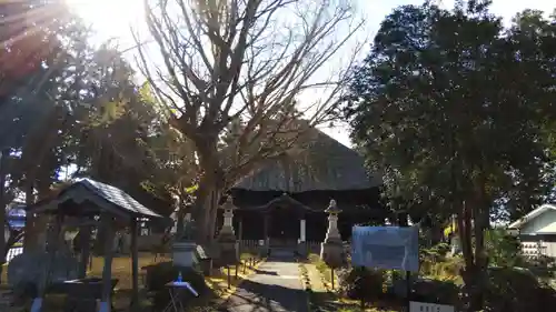 佐竹寺の本殿・本堂