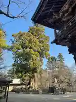 筑波山神社(茨城県)