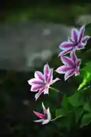 浄土寺(兵庫県)