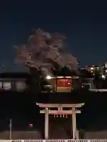 愛宕神社の{uncategorized: "未分類", other: "その他", undefined: "問題あり", building: "その他建物", grave: "お墓", sacred_gate: "鳥居", guardian: "狛犬", statue: "像", buddha: "仏像", history: "歴史", nature: "自然", garden: "庭園", animal: "動物", pagoda: "塔", temizu: "手水舎", mountain_gate: "山門・神門", sanctuary: "本殿・本堂", subordinate: "末社・摂社", art: "芸術", scenery: "景色", jizo: "地蔵", ema: "絵馬", goshuin: "御朱印", omikuji: "おみくじ", items: "授与品その他", amulet: "お守り", goshuincho: "御朱印帳", eats: "食事", festival: "お祭り", votive_dance: "神楽", shichigosan: "七五三参", wedding: "結婚式", experience: "体験その他", initially: "初詣", around: "周辺", anti_infection: "感染症対策"}