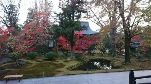 廣隆寺の庭園