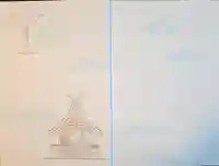 出雲大社(島根県)