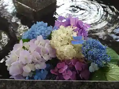 新琴似神社の手水舎