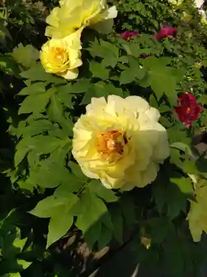 少林寺(埼玉県)