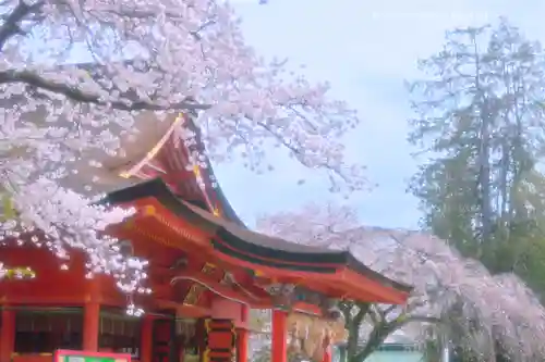 富士山本宮浅間大社(静岡県)