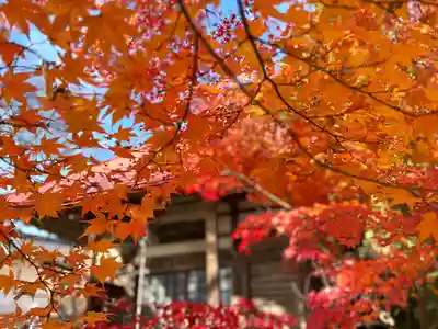 瑠璃寺(長野県)