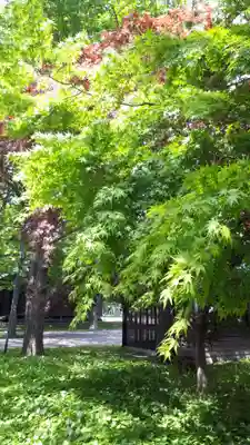 亀田八幡宮(北海道)