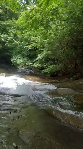 龍鎮神社の自然