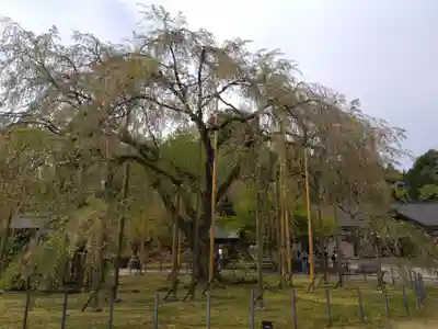 足羽神社(福井県)