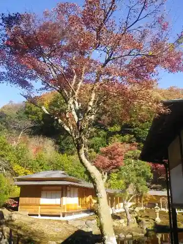 海蔵寺のお墓