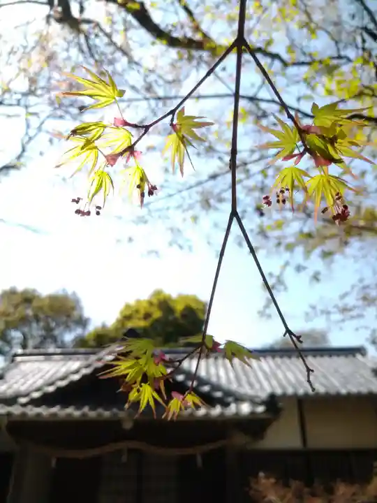 牛窓神社(岡山県)
