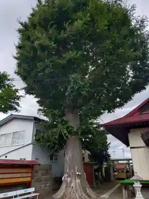 白山神社(青森県)