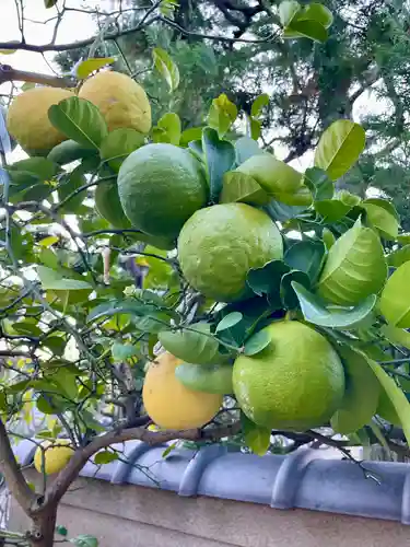 浄蓮寺(神奈川県)