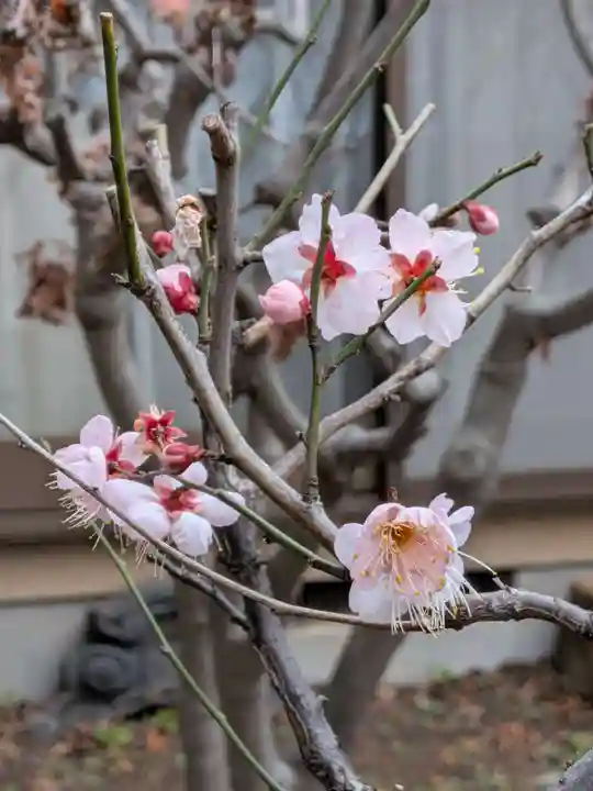 田端神社(東京都)
