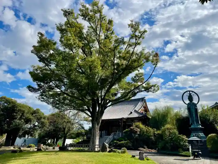 正光寺(東京都)