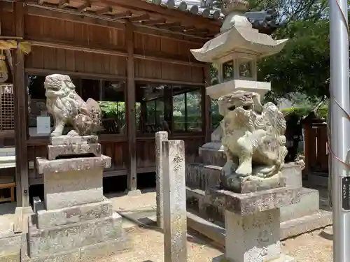 新宮八幡神社の狛犬