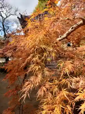 本蓮寺(神奈川県)