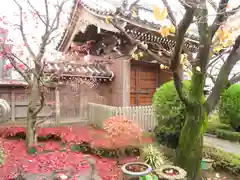 安養院(東京都)