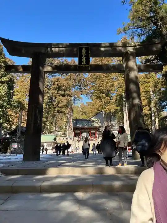 日光東照宮の{uncategorized: "未分類", other: "その他", undefined: "問題あり", building: "その他建物", grave: "お墓", sacred_gate: "鳥居", guardian: "狛犬", statue: "像", buddha: "仏像", history: "歴史", nature: "自然", garden: "庭園", animal: "動物", pagoda: "塔", temizu: "手水舎", mountain_gate: "山門・神門", sanctuary: "本殿・本堂", subordinate: "末社・摂社", art: "芸術", scenery: "景色", jizo: "地蔵", ema: "絵馬", goshuin: "御朱印", omikuji: "おみくじ", items: "授与品その他", amulet: "お守り", goshuincho: "御朱印帳", eats: "食事", festival: "お祭り", votive_dance: "神楽", shichigosan: "七五三参", wedding: "結婚式", experience: "体験その他", initially: "初詣", around: "周辺", anti_infection: "感染症対策"}