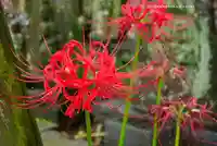 宝蔵院(東京都)