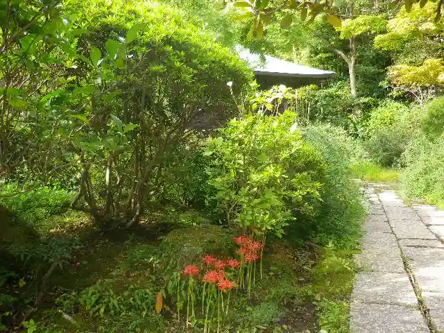 浄光明寺の庭園