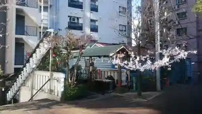 高輪神社のおみくじ