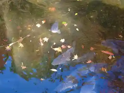 箱根神社(神奈川県)