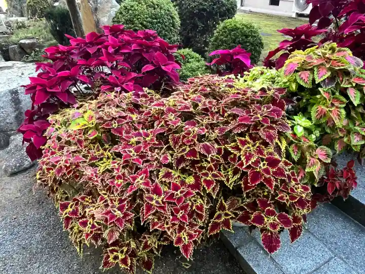 立志神社(滋賀県)