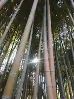 不知森神社(千葉県)