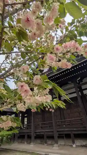 本法寺(京都府)