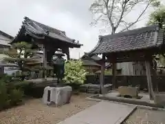 乗蓮寺の手水