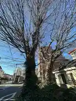 小野神社(東京都)