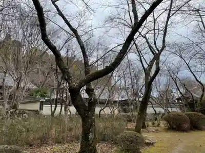 勝持寺（花の寺）(京都府)